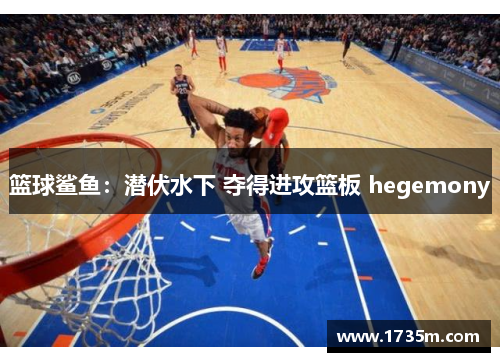篮球鲨鱼：潜伏水下 夺得进攻篮板 hegemony